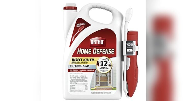 Best Outdoor Spray For Ants