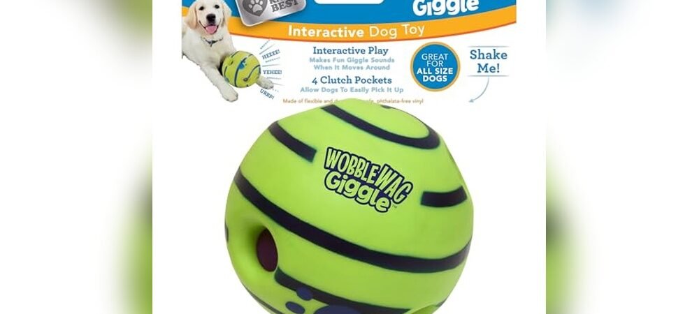 Best Outdoor Toys For Dogs