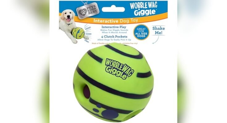Best Outdoor Toys For Dogs
