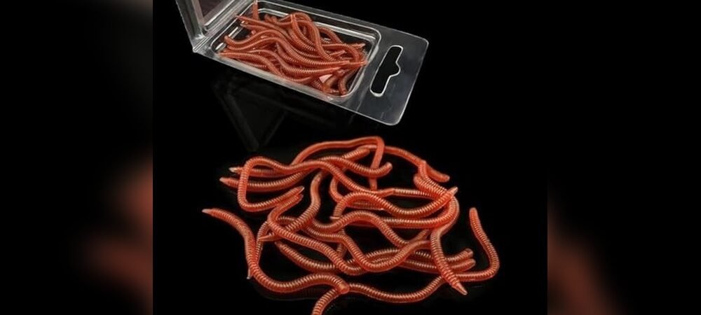 Best Plastic Worms For Bass Fishing