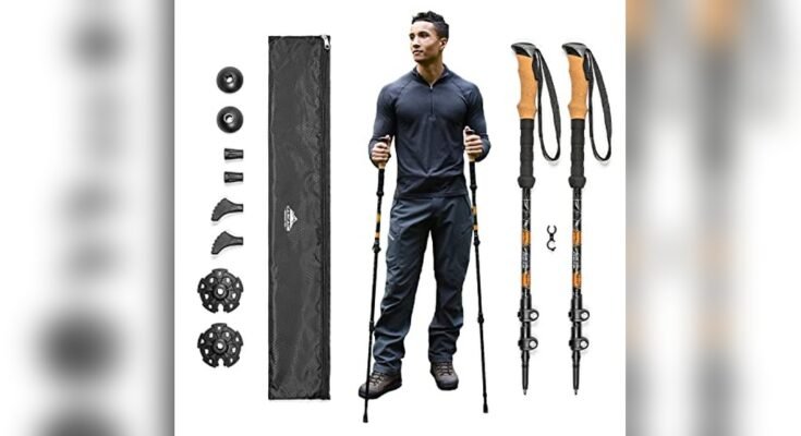 Best Poles For Hiking