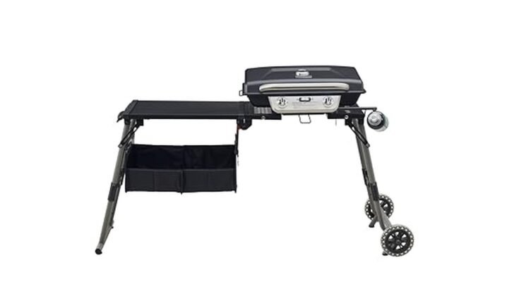 Best Portable Grill For Tailgating