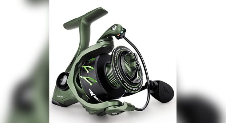 Best Reel For Striper Fishing