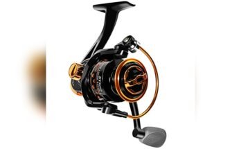 Best Reels For Fishing