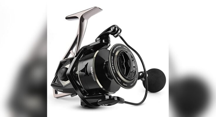Best Reels For Surf Fishing