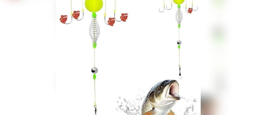 Best Rig For Beach Fishing