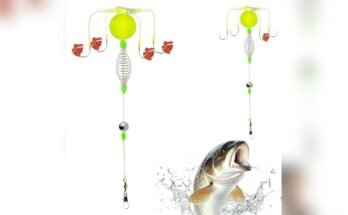 Best Rig For Beach Fishing