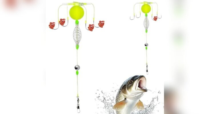 Best Rig For Beach Fishing