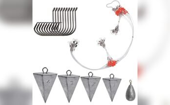 Best Rig For Shore Fishing