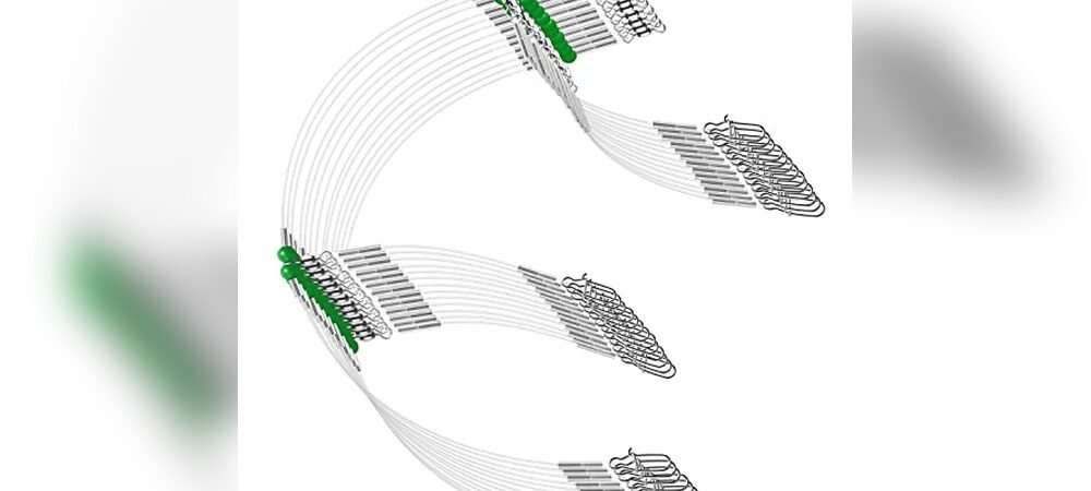 Best Rigs For Saltwater Fishing