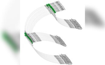 Best Rigs For Saltwater Fishing