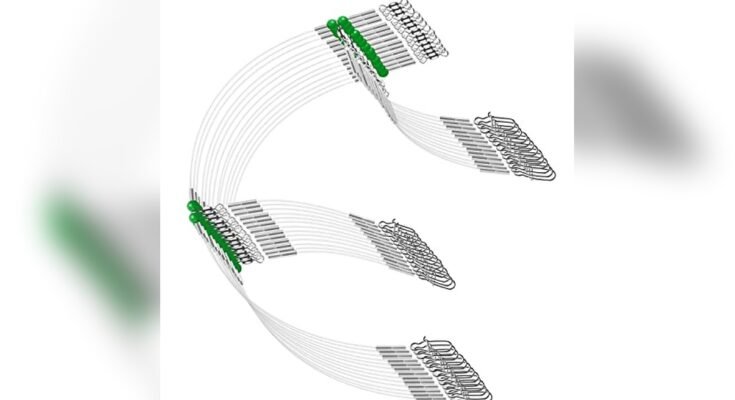 Best Rigs For Saltwater Fishing