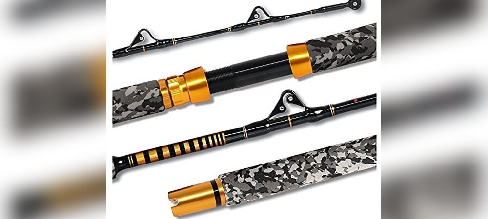 Best Rod For Shark Fishing