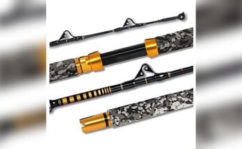 Best Rod For Shark Fishing