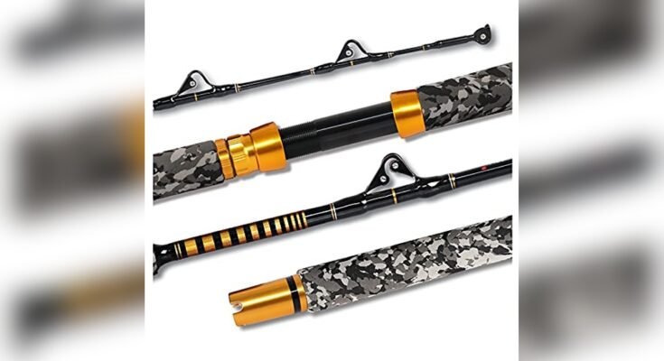 Best Rod For Shark Fishing