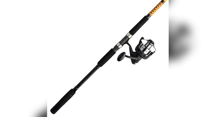 Best Rod For Shore Fishing