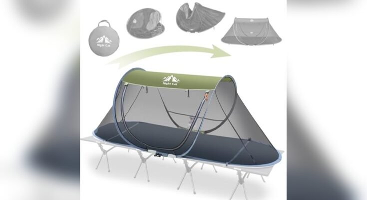 Best Screen Tent For Bugs