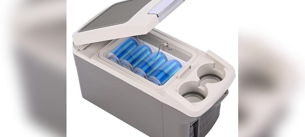 Best Small Cooler For Car
