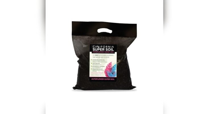 Best Soil For Grow Tent