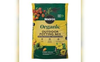 Best Soil For Outdoor Plants