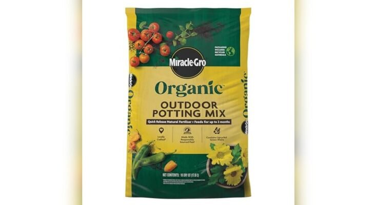 Best Soil For Outdoor Plants
