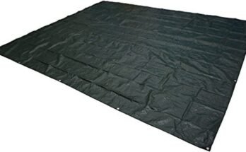 Best Tarps For Camping