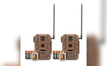 Best Trail Cam For Backyard