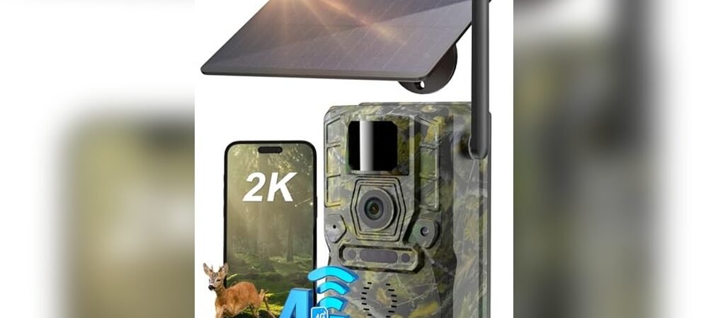 Best Trail Cameras For Hunting