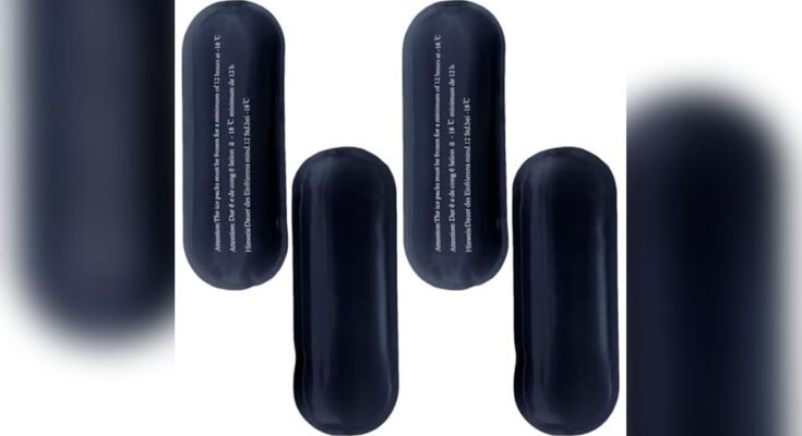 Best Travel Cooler For Medication