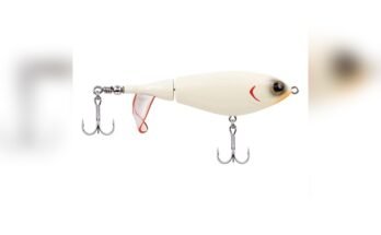 Best Walleye Lures For Shore Fishing