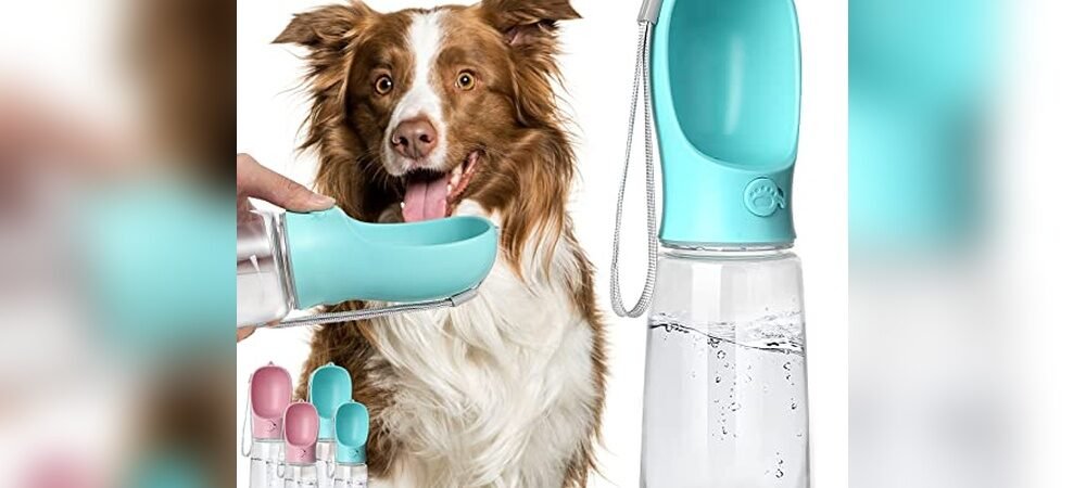 Best Water Bottle For Dogs