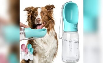 Best Water Bottle For Dogs