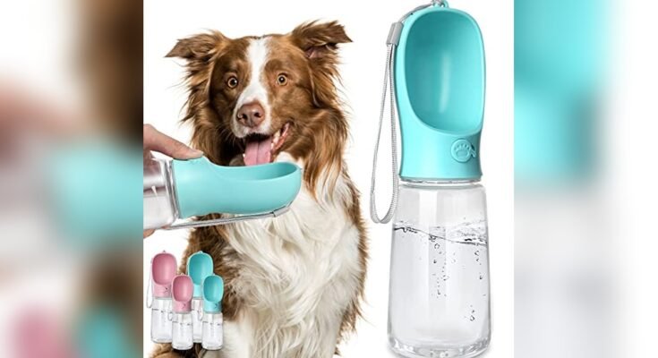 Best Water Bottle For Dogs