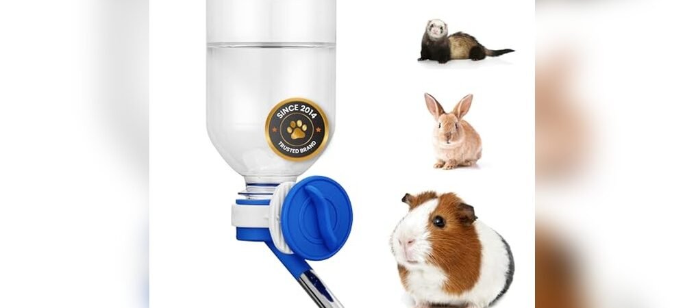 Best Water Bottle For Guinea Pigs