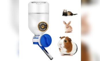 Best Water Bottle For Guinea Pigs