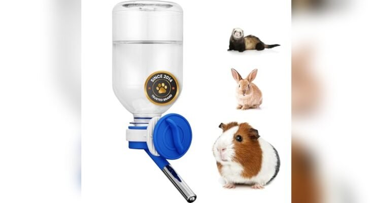 Best Water Bottle For Guinea Pigs