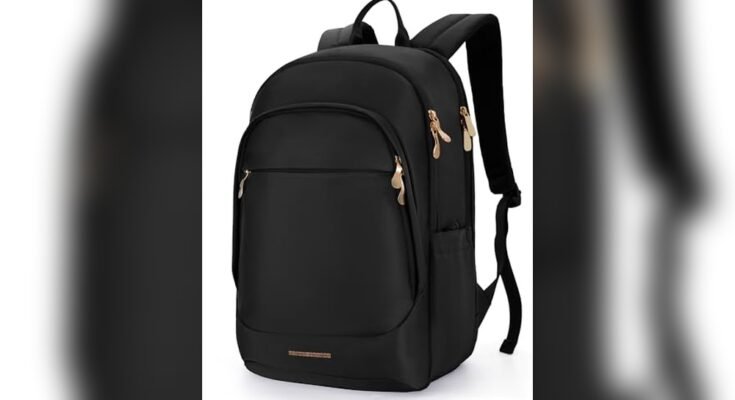 Best Work Travel Backpack For Women