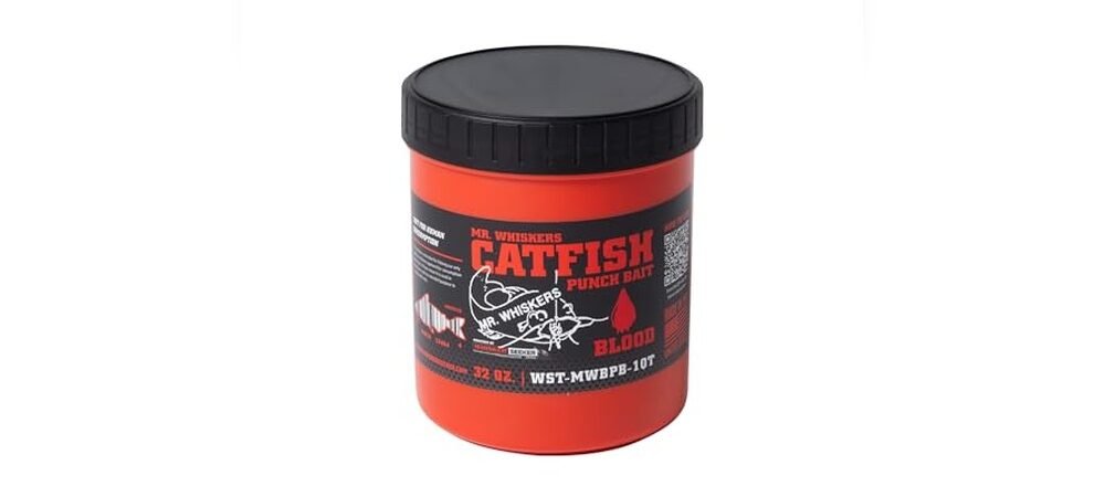 The Best Fishing Bait For Catfish