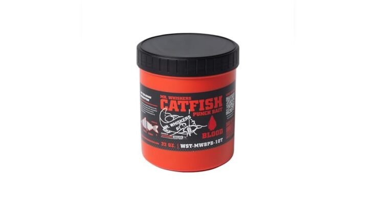 The Best Fishing Bait For Catfish