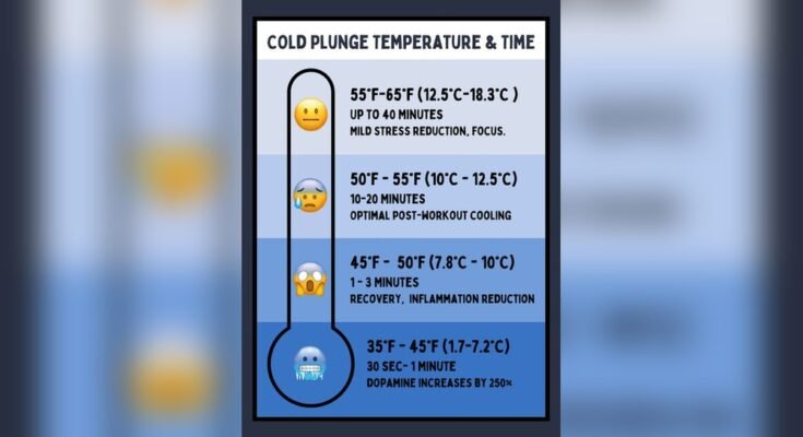 What Temperature is Ideal for Cold Plunge?