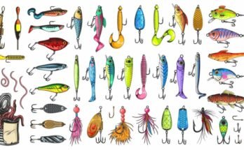 What Is Freshwater Fishing And How Does It Work