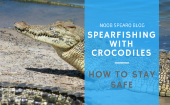How Do You Stay Safe While Spearfishing?