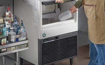 Hoshizaki Ice Maker Troubleshooting Guide