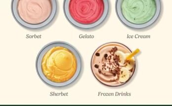 Cuisinart Ice Cream Maker Machine Review