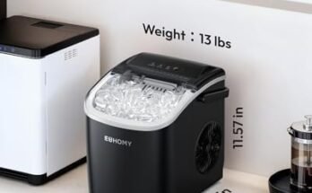Best Self Cleaning Ice Maker