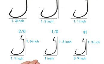 Best Fishing Hooks For Bass Fishing