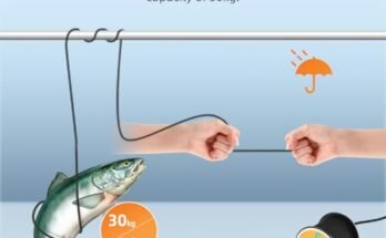 Best Fishing Camera With LCD Monitor
