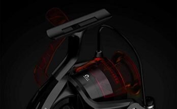 Best Fishing Reel For Freshwater Fishing