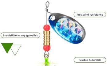 Best Fishing Lures For Trout Fishing