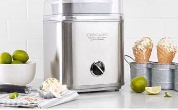 Best Ice Cream Maker Machine For Frozen Yogurt & Gelato